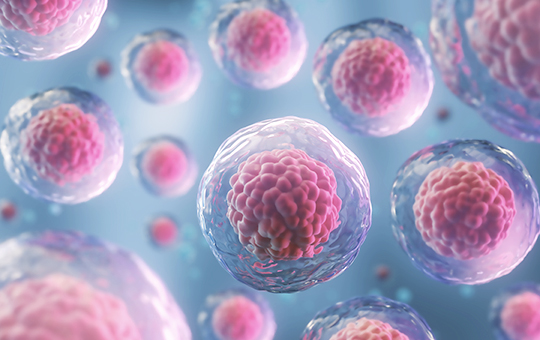 제스트 장내과 위·장내시경 포인트 이미지