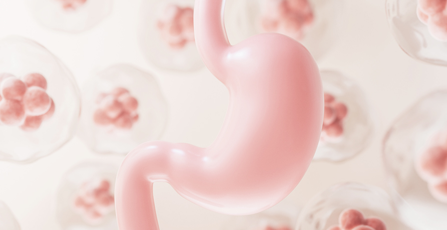 베스트장내과 소화기질환