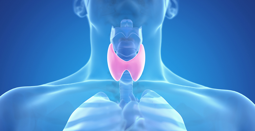 베스트장내과 갑상선질환